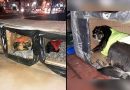 Herói anônimo fez casinhas térmicas para cães de rua resistirem ao frio