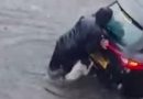 Cachorro ‘ajuda’ a empurrar carro em meio a enchente na Escócia